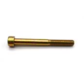 Allen screw M8 x 75 mm