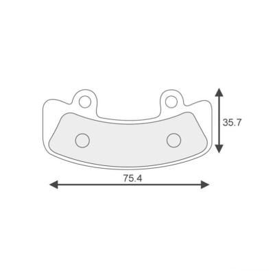 Magnesium plate for caliper